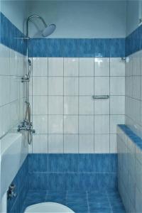 een badkamer met een douche en een toilet. bij Zois Apartments in Nikiana