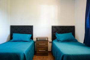 波特雷羅德加雷的住宿－Potrero de Garay，两张带蓝色枕头的床