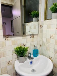 a bathroom sink with two potted plants on it at Bogotá Kings 302 in Bogotá