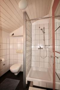 ein Badezimmer mit einer Dusche, einem WC und einer Badewanne in der Unterkunft Apartments by the sea Bol, Brac - 2904 in Bol