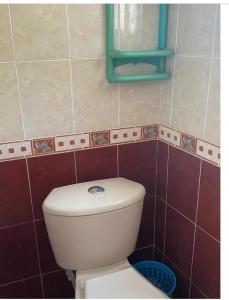 a bathroom with a white toilet and a mirror at APARTAMENTO in Florencia