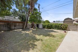 a backyard of a house with a tree at ~New~ Bright and Spacious Back House in Bakersfield
