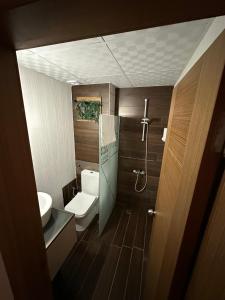 a bathroom with a toilet and a sink and a shower at NFK The House Hotel in Antalya