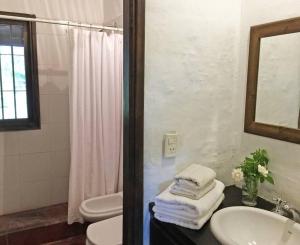 y baño con lavabo, aseo y espejo. en Gran casa de campo en el Valle de Uco con espectaculares vistas DOLAR BLUE en Tunuyán