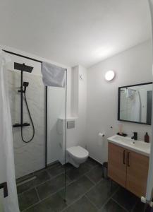 Nort Inn في تاو بيسترا: حمام مع دش ومرحاض ومغسلة