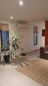 Curacaví的住宿－Casa con linda vista de montaña y tinaja，一间客厅,在房间的角落里种植植物