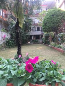 a garden with pink flowers in front of a building at The North Face Inn in Pokhara