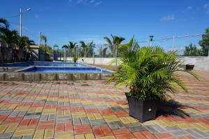 曼塔的住宿－Casa Familiar con Piscina en Urbanización privada，瓷砖庭院中一棵棕榈树