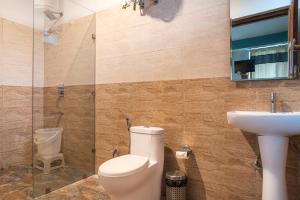 達蘭薩拉的住宿－Nandini villa，一间带卫生间和水槽的浴室