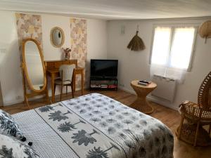 a bedroom with a bed and a mirror and a television at Logement indépendant -1 chambre -3 lits - 4km du circuit in Ruaudin