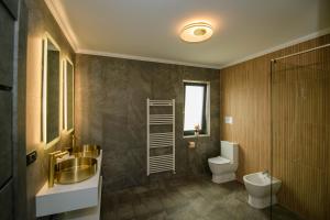 Koupelna v ubytování Casa Lucan Brașov + 28 fotografií