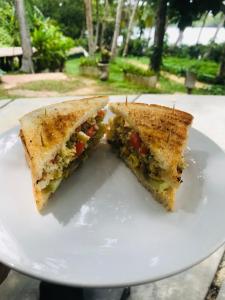 two halves of a sandwich on a white plate at TheLakeHostel in Hikkaduwa