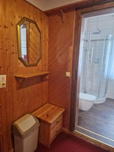 a bathroom with a toilet and a sink and a mirror at Pension Zur Elbe in Lutherstadt Wittenberg