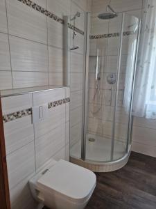 a white bathroom with a shower and a toilet at Pension Zur Elbe in Lutherstadt Wittenberg