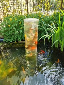 a plastic container filled with goldfish in a pond at Pension Zur Elbe in Lutherstadt Wittenberg