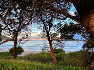 a view of a beach with trees and the ocean at Sandcastles at the Beach - Linen Supplied & Beds Ready on Arrival in Fingal Bay