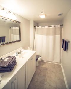 a bathroom with a sink and a toilet and a shower at Water Street Retreat 14 in Wilmington