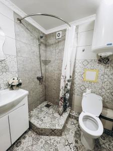 ein Bad mit einer Dusche und einem WC in der Unterkunft Однокімнатна дизайнерська квартира поруч з термальними водами in Berehowe