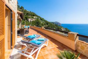 Příroda nedaleko vily