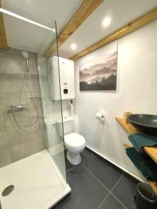 a bathroom with a shower and a toilet and a sink at Studio hypercentre in Rouen