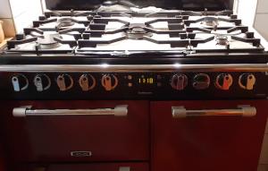 um forno com placa de fogão sentado numa cozinha em MAISON LUPINS 8 PERSONNES em Geishouse