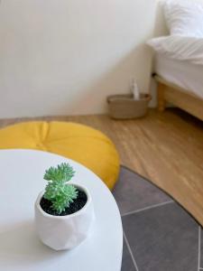 a plant sitting on a white table in a room at Stay Liuqiu Diving Hostel in Xiaoliuqiu