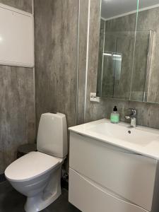 a bathroom with a white toilet and a sink at Nymoen Apartment, Kvaløya in Tromsø