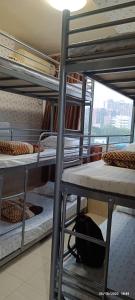 grupa łóżek piętrowych w pokoju w obiekcie The Cultural Crashpad - 康乃馨旅館 w Hongkongu