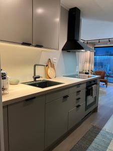 Η κουζίνα ή μικρή κουζίνα στο Nymoen Apartment, Kvaløya