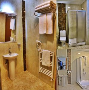 uma casa de banho com um lavatório, um chuveiro e um WC. em Emsa Palace Hotel em Darıca