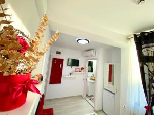 Kuchyň nebo kuchyňský kout v ubytování IANIS Rooms