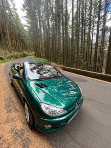 a green car parked on a road in the woods at Apartamentos do Mar Funchal in Funchal