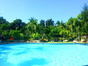 a large swimming pool with trees in the background at Bakasyunan Resort and Conference Center - Zambales in Iba