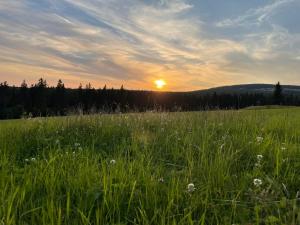 Príroda v okolí apartmánu