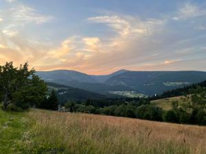 Príroda v okolí apartmánu