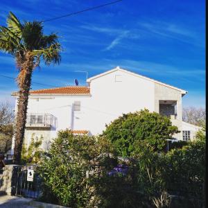 una casa bianca con una palma di fronte di Villa Rossi a Krk