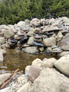 ein Fluss aus Felsen und Wasser mit Bäumen im Hintergrund in der Unterkunft Zakątek w Zaciszu in Ustka