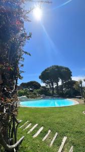 a pool in the middle of a yard with trees at Hôtel Ambassador Palombaggia in Porto-Vecchio