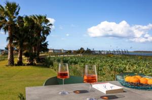 Casa B, Room 5 - Palm Kite Paradise في مارسالا: طاولة مع كأسين من النبيذ وسلة من الفواكه