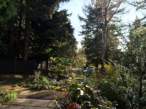 un jardín con un montón de plantas y árboles en Ferien Suite Braunlage, en Braunlage