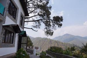 奈尼塔爾的住宿－Pine Cone Cottage with Excellect Mountain View!!，相簿中的一張相片