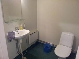 a bathroom with a white toilet and a sink at Vindsvåning i Harrström in Korsnäs