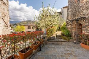 a garden with potted plants and trees in pots at Villa Camelia Bianca in Barga
