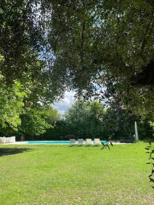 un gruppo di sedie sedute nell'erba vicino alla piscina di Green Escape Guesthouse with Pool in Villa a Firenze