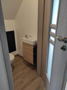 a bathroom with a sink and a toilet at Apartamentai G&G in Jurbarkas