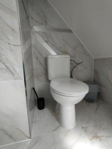 ein Badezimmer mit einem weißen WC und Marmorwänden in der Unterkunft Apartmán Zelený dom 43 (2) in Banská Štiavnica