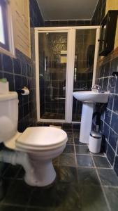 a bathroom with a toilet and a sink at Klein Bosveld Guest House in eMalahleni