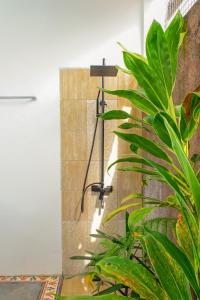 um chuveiro no canto de um quarto com plantas em Casa de Saka Villa em Ngaglik
