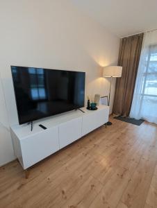 TV a/nebo společenská místnost v ubytování FeWo Goldstück mit privatem SPA und Whirlpool