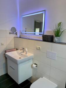 a bathroom with a sink and a toilet and a mirror at Sundblick, ideal für Familien in Teschendorf
